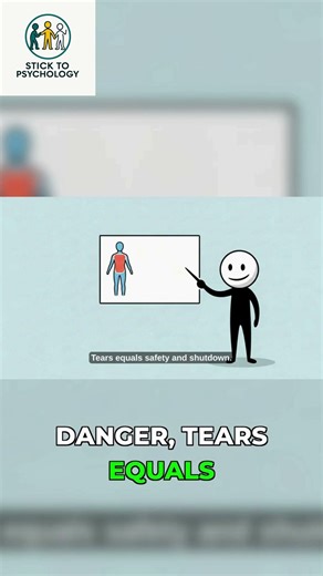 Crying = Safety Unpacking Conflict Avoidance
