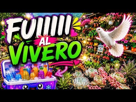 🌿 FUIIII al vivero… y mira todo lo que encontré 😳