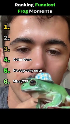 Ranking frogs just being frogs 🐸 #funny #frog #animals #shorts
