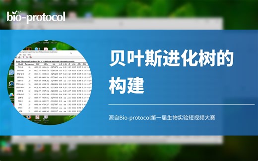 【Bio-protocol】贝叶斯进化树的构建