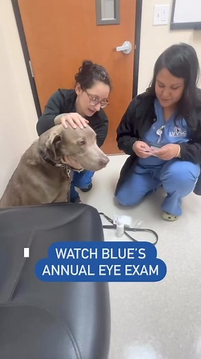 7.4K views · 301 reactions | Today I received my annual eye exam. I’m...