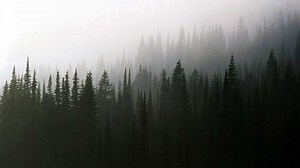 A Guide to the Unsolved Mysteries of Twin Peaks