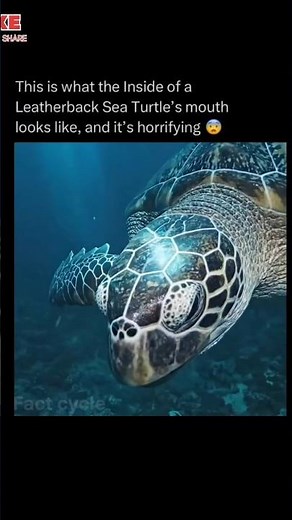 this is the word the inside of a leatherback sea turtles mouth looks like and its horifying #facts