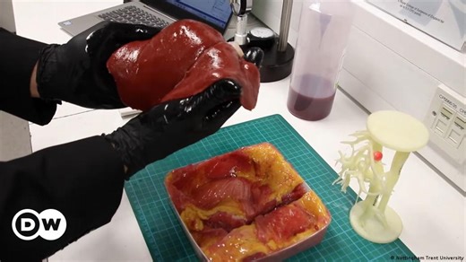 Bioprinting: 3D-Druck mit lebenden Zellen