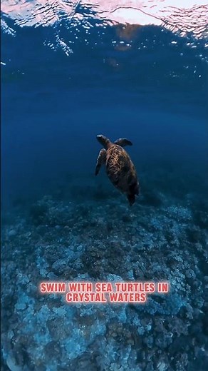 This Island in the Philippines Will Leave You Speechless! 🇵🇭 (Negros Travel)