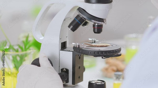 High quality footage of botany experiment in modern laboratory background for natural extract product advertisement. Front close up shot at scene a scientist adjusting microscope