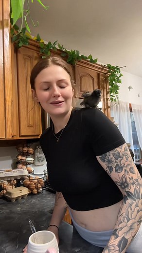 idk might gotta make alvin a house chicken #crazychickenlady | Kim J. Human