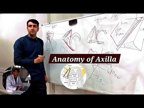 Axilla Anatomy Explained | آناتومی آگزیلا بخش 1