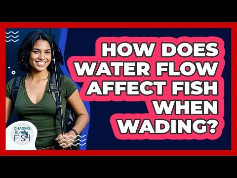 How Does Water Flow Affect Fish When Wading? - Chasing Big Fish