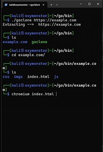 I Cloned a Website in Seconds!