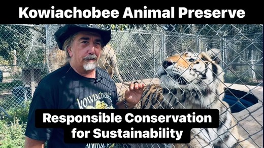 Located in Naples, Florida, the mission ofKowiachobee Animal Preserve goes far beyond conservation and species preservation; it is about educating visitors to be responsible, ensuring sustainability, and teaching them what they can do to protect the environment and save our planet. To learn more about this wonderful organization, visit: Kowiachobee.org. Kowiachobee Animal Preserve offers daily guided group tours, given by appointment only. Please do not show up at the preserve without a reservat