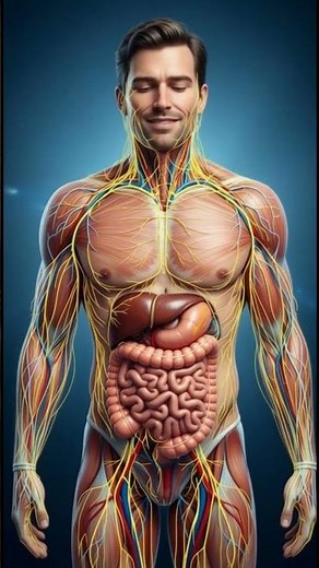 ¿Qué le pasa a tu cuerpo cuando no comes?