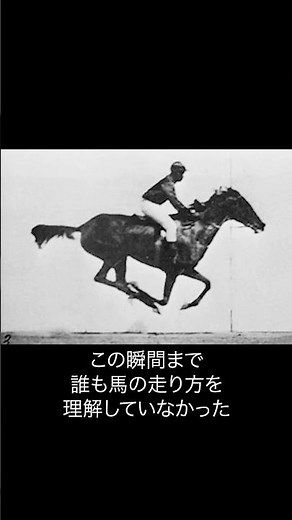 《1分名画 0135》この瞬間まで、誰も馬の走り方を理解していなかった｜エドワード・マイブリッジ《馬の動き》