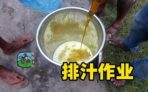 谁教你们这样做果汁的？