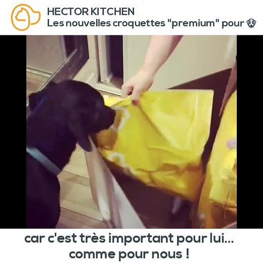 🔥🔥Des croquettes enfin personnalisées à ses besoins 🐶 et 20% moins chères que votre marque premium actuelle. | Hector Kitchen