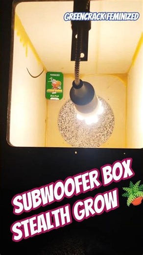 Stealth Grow Conversion