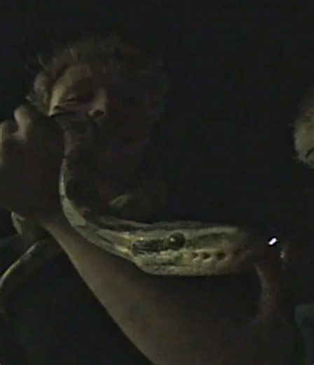 #gat #slammedenuff #vx2000 #camcorder #cars