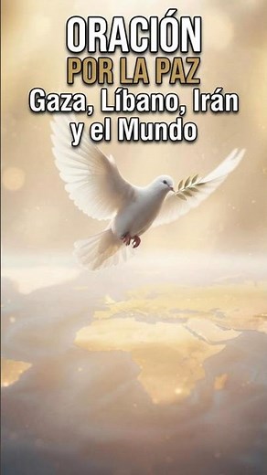 You Need Peace in the Midst of Chaos, Let's Pray Together for the World.