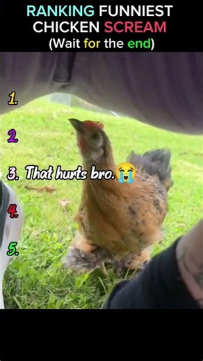Ranking Funniest Chicken Scream part-10