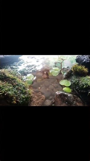 Water Splash Sound Therapy, Insomnia, Relaxing (1 Hours)