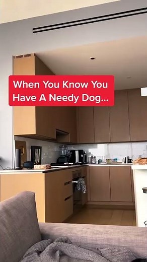 Life Is Better With A Dog