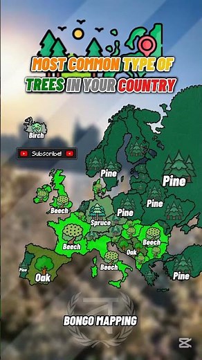 Most common type of trees in your country ll Educational and entertainment purposes#mapping