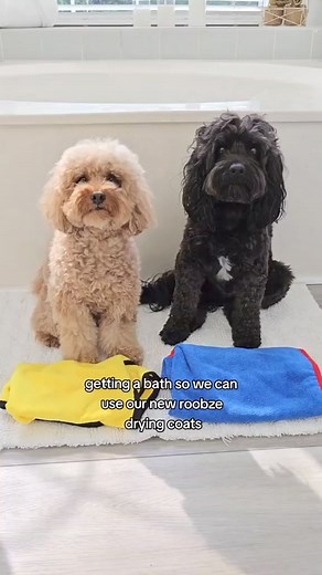 Dog Bathrobe Microfiber Quick Drying Bathrobe Bath Towels Product link in the comment | Pets Story
