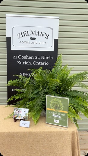 Yesterday I performed a planting demonstration at The Bluffs at Huron- a Residential Retirement Community during an open house of their brand new available units. The homes were staged beautifully and I enjoyed some treats! | Zielman's Goods and Gifts
