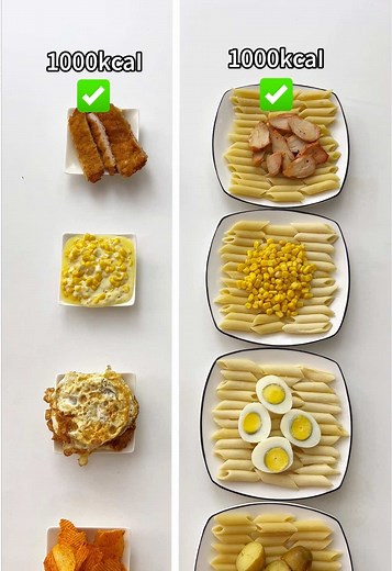 Make Better Choices for Weight Loss with Cal Pal