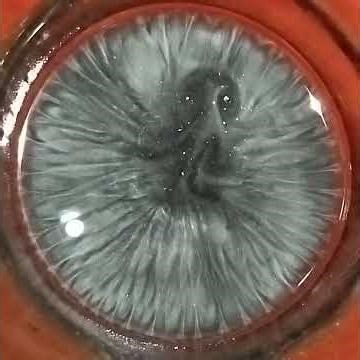 Grex dissolved in acetone. Convection made visible.