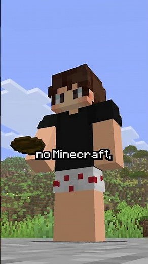 Minecraft soup makes no sense