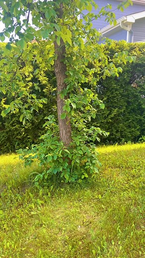 #fyp#foryou#foryoupage#viral#prt#pourtoi#religion