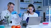Lab workers testing vegetable sample agricultural biotechnology,...