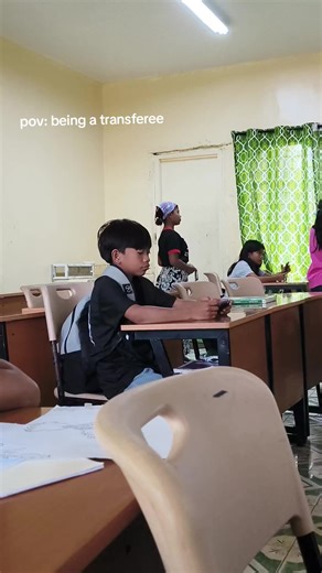 Understanding the Transfer Process from a Transferee's Perspective