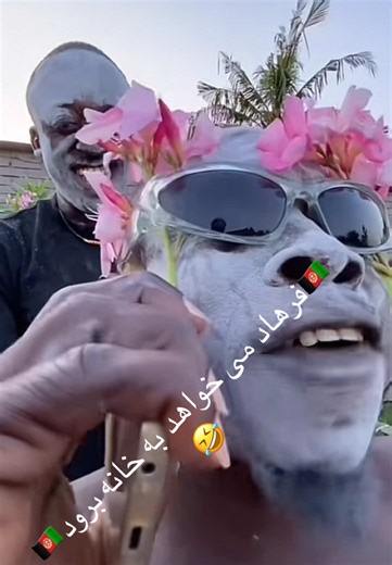 #afghantiktok #afghan #afghanistan🇦🇫 #america #canada #unitedkingdom #kabul #iran #farsi #pashto #fyp #khandahar #afg #afghanmemes #africa #persian #bachem