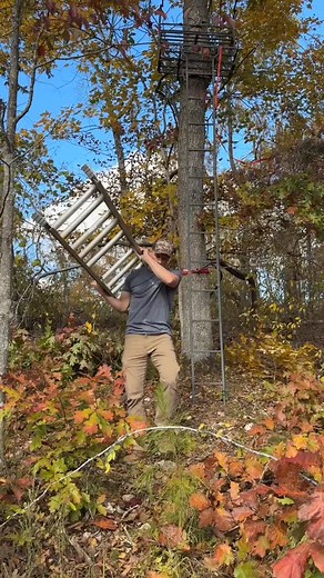 Hauling ladders and hanging ladder stands demands a strong core. Moves like overhead carriers will do the trick. Other possible exercises that help with these activities could include: 1. Alternating shoulder press 2. Zercher squat 3. Landmine pull to push Struggling in an area of #outdoorperformance and need a new move? DM us! We’d be happy to consult with you! #fittohunt #hunting #fitness #huntfit #deerhunting | Fit To Hunt | Facebook