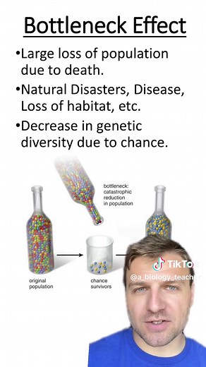 Bottleneck Effect: Genetic Drift & Population Loss