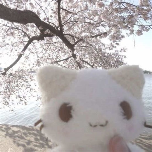 jerjor here i come.. #jerjor #jeremyjordan #lucifermorningstar #rantslime #asmr