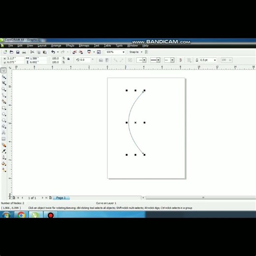 How to.make beautiful flower in corel draw #designer #virel