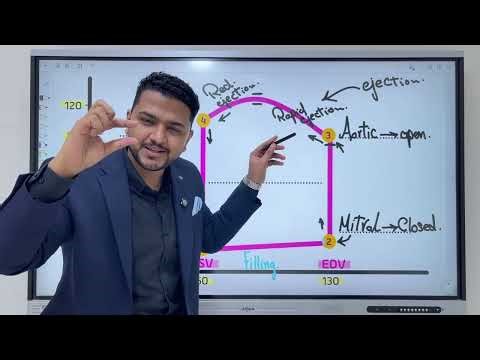 ventricular volume pressure loop د نجيب الحسيني