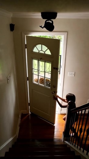 Security camera footage of a tiger entering a house, the child quickly shuts the door, forcing the tiger back outside. #CCTV, #SecurityCamera, #TigerEncounter, #WildlifeEncounter, #CaughtOnCamera, #RealFootage, #CloseCall, #BraveChild, #HomeSecurity, #ScaryMoment, #TigerAtHome, #MustWatch, #ViralShorts, #IntenseMoment, #AnimalRescue, #DangerousSituation, #HeroKid, #ShockVideo, #Unbelievable, #DoorCam | Coming Out ASMR