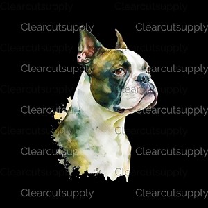Boston Terrier Watercolor Clipart - Instant Download Sublimation Design for Pet Lovers