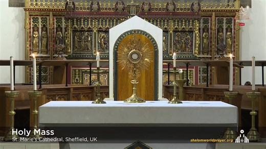 #dailymasstoday #live #holymass #catholicmass #shalomworldprayer Join us in celebrating the Holy Mass Live from St. Marie's Cathedral, Sheffield, UK. Celebrate the memorial and sacrifice of our Lord’s life, death, and resurrection. | Our Lady of Lourdes