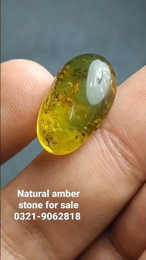 "Amber: The Time Capsule of Nature"