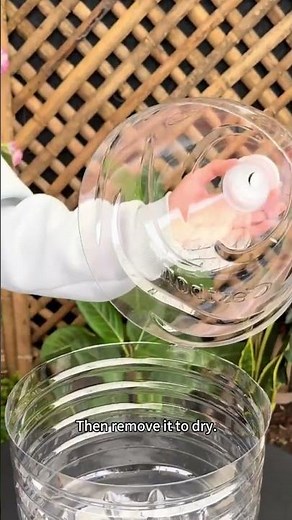 Rose cutting propagation guide #rosepropagation #cuttingroses #gardeningtips