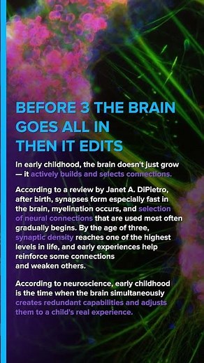 What Happens in the Brain Before Age 3: How Early Childhood Shapes Neural Development