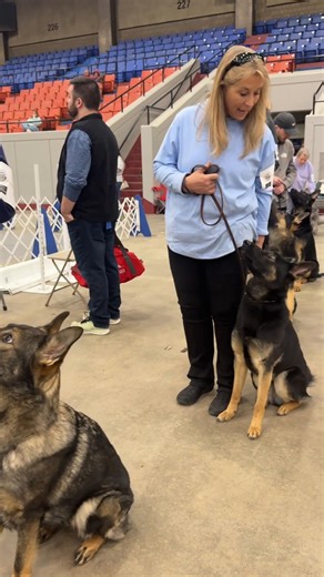 2026 Kentuckiana Cluster Dog Show Highlights
