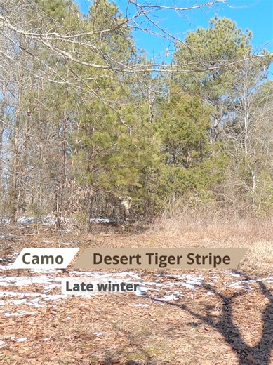 Testing Desert Tiger Stripe Camouflage in Winter Conditions