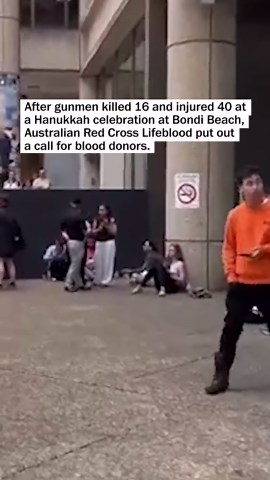 Volunteers line up to give blood after Bondi shooting
