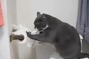 12 Small Animals That Definitely Aren't Sweet